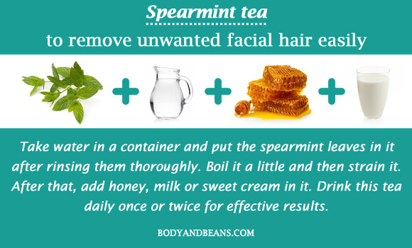 Spearmint Tea Facial Hair 110