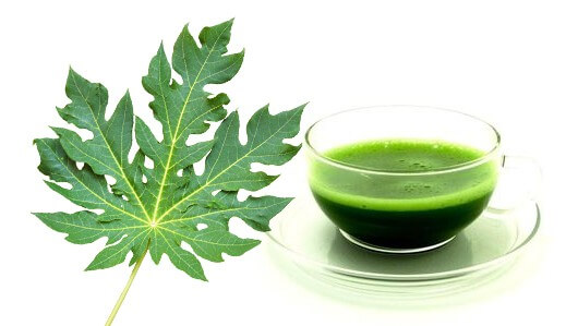 Medicinal use of Papaya leaves juice in Dengue