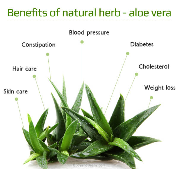 Benefits of Aloe Vera for Skin, Weight Loss and Health