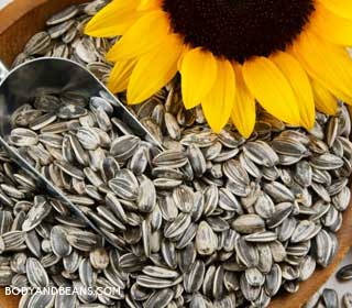 Sunflower seeds