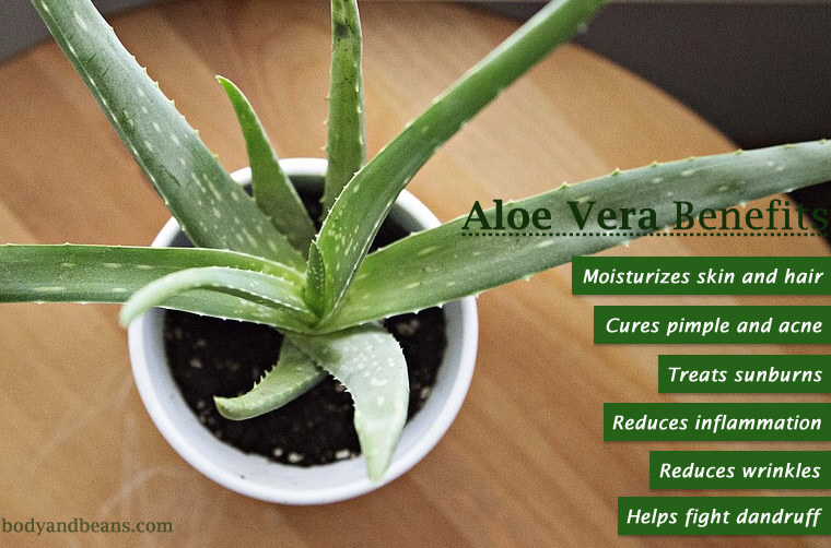 Surprising health benefits of Aloe vera