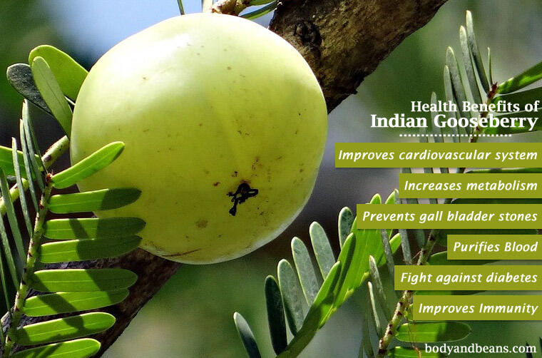 Benefits of Amla on Skin, hair and Health (Gooseberry)