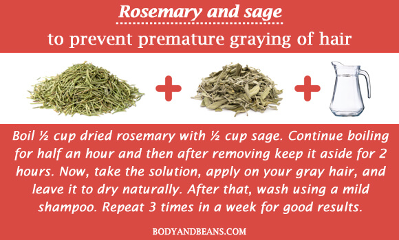 Rosemary and sage to prevent premature graying of hair