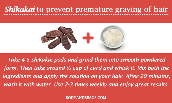 Shikakai to prevent premature graying of hair