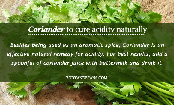 Coriander to cure acidity naturally