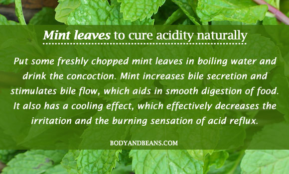 Mint leaves to cure acidity naturally