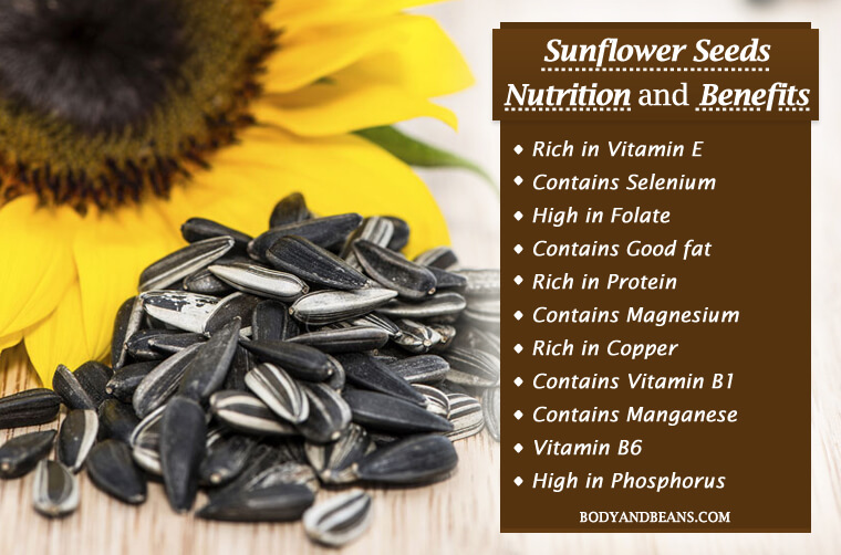 Sunflower Seeds Nutrition And Benefits That Will Make You Love Them
