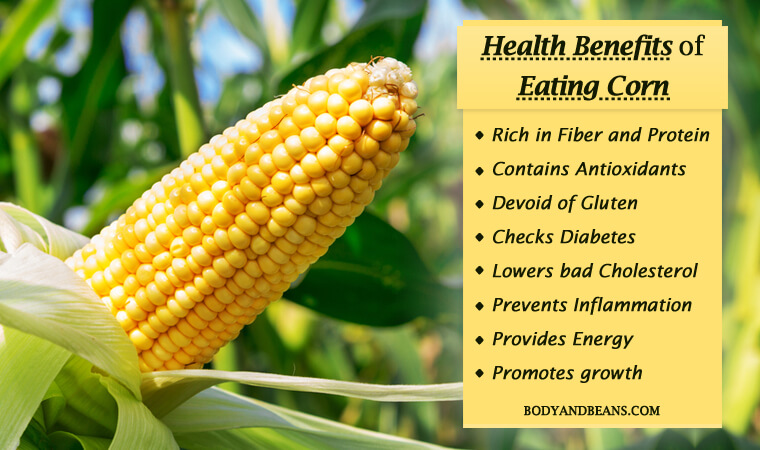 Health Benefits of Corn: Rich in Fiber, Protein and Antioxidants