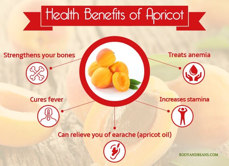 Health Benefits of Apricoat