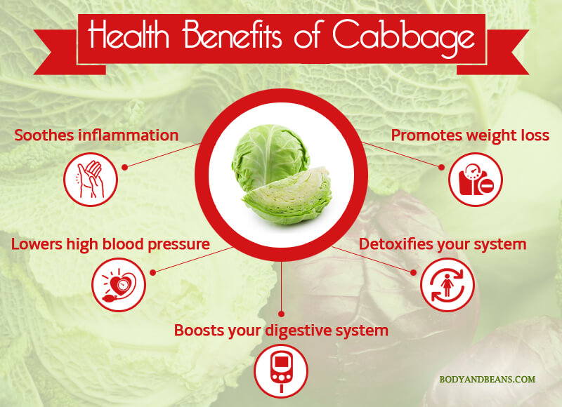 Health Benefits of Cabbage