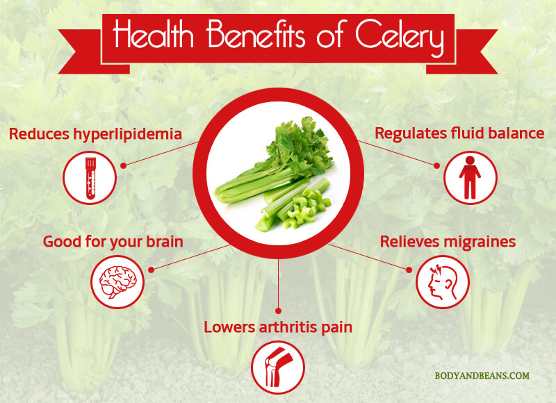 Health Benefits of Celery