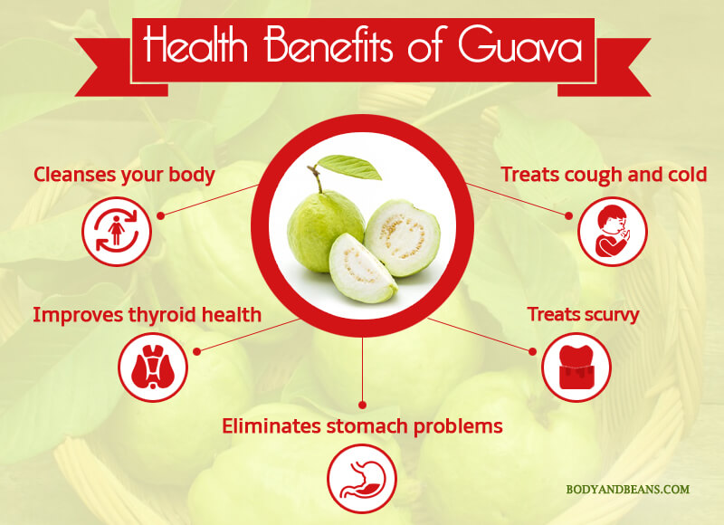 Health Benefits of Guava