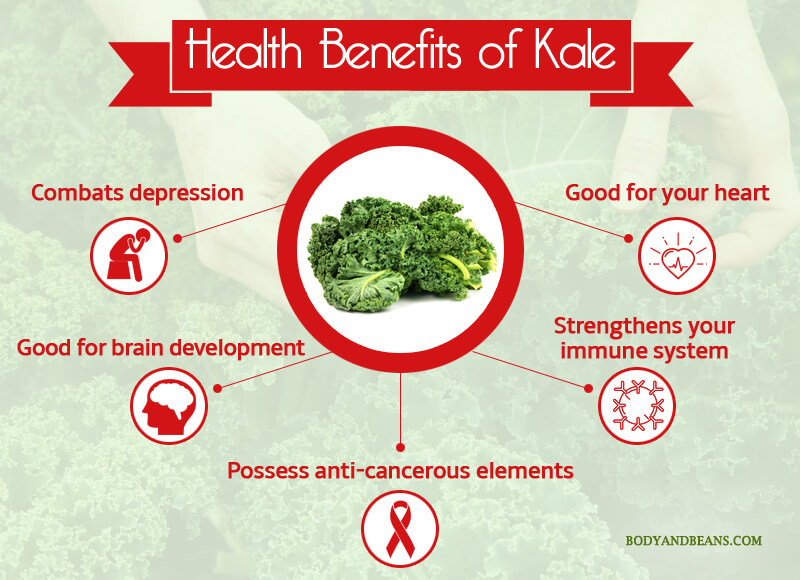 Health Benefits of Kale
