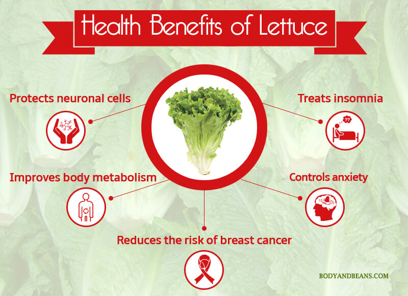 Health Benefits of Lettuce