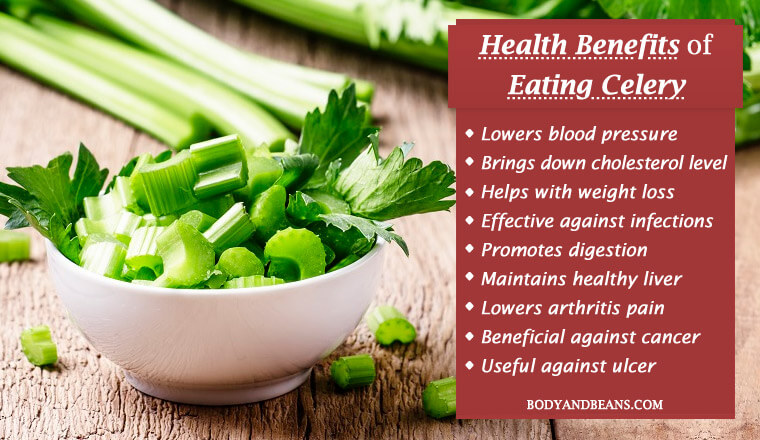 Health benefits of eating celery includes weight loss, lowers blood pressure and cholesterol levels, treats infection and boosts digestion.