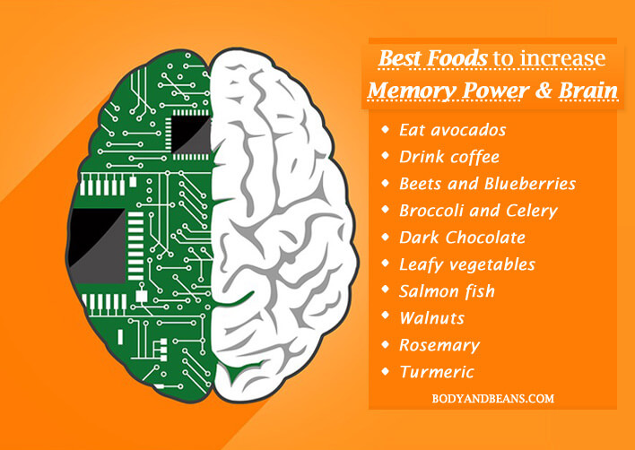 16 Best Foods to Increase Memory Power and Brain 16 Best Foods to Increase Memory Power and Brain